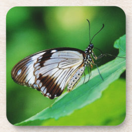 Posavasos Marrón oscuro y mariposa gris