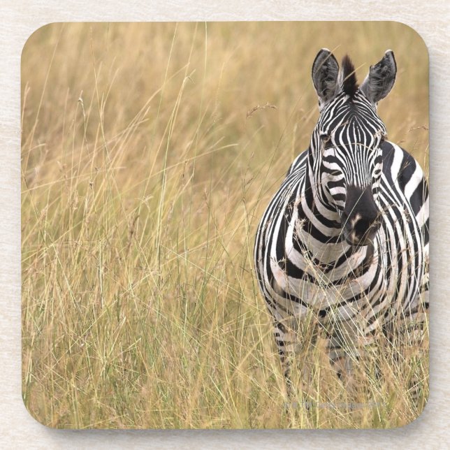 Posavasos Masai Mara, Kenia (Frente)