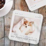 Posavasos Mascota Primera Navidad En La Moda Moderna De Fore<br><div class="desc">El diseño está compuesto por una tipografía moderna de moda con fuentes sans serif y serif. Añada una foto personalizado de un mascota adoptado y del año.</div>