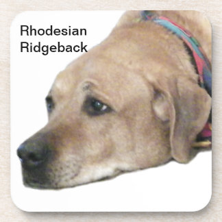 Posavasos Mascota Rhodesian Ridgeback