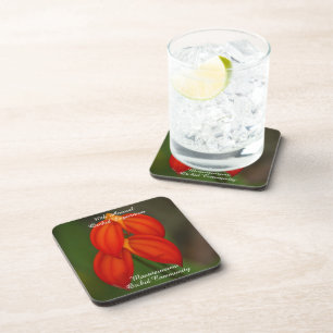 Posavasos Masdevallia ignea Orquídea