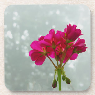 Posavasos Máster de fotografía con flores de geranio rosado