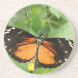 Posavasos Máster de mariposa de larga duración del tigre