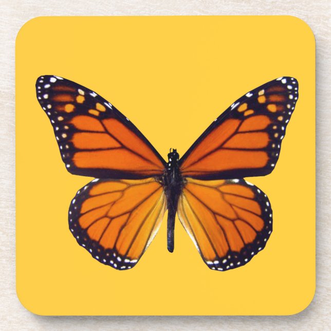 Posavasos Máster de mariposa naranja (Frente)