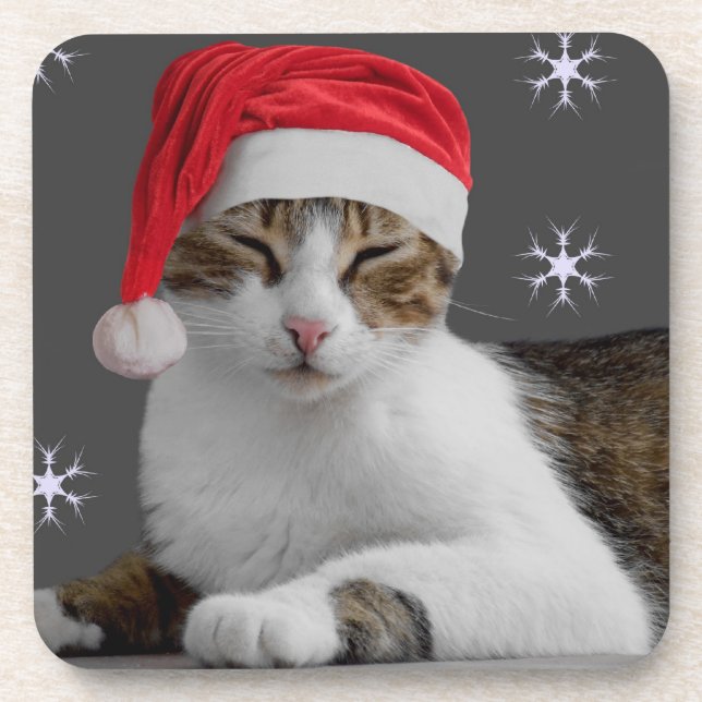 Posavasos Máster de Navidades Sants Cat (Frente)