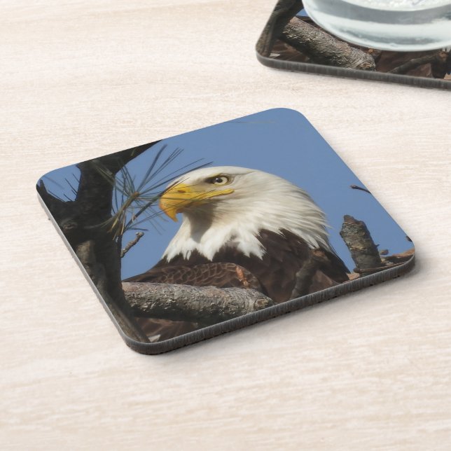 Posavasos Mature Bald Eagle Head (Lado Izquierdo)