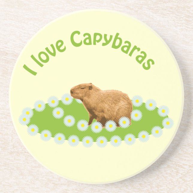 Posavasos Me encantan las montañas de Capybaras (Frente)