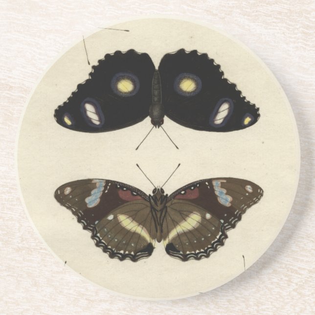 Posavasos Medley de mariposa colorida sobre fondo crema (Frente)