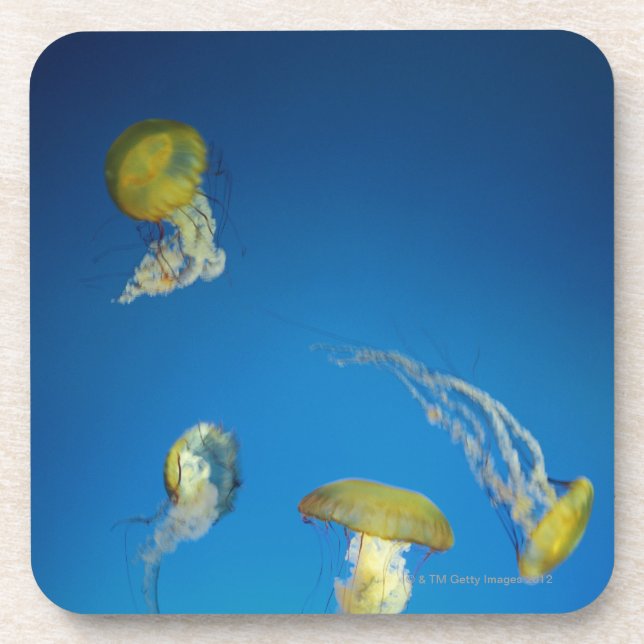 Posavasos Medusas (Frente)