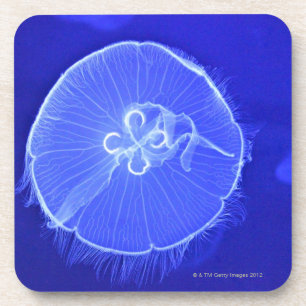 Posavasos Medusas
