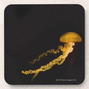 Posavasos Medusas 2