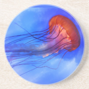 Posavasos Medusas de la acuarela