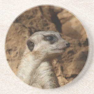 Posavasos Meerkat 029