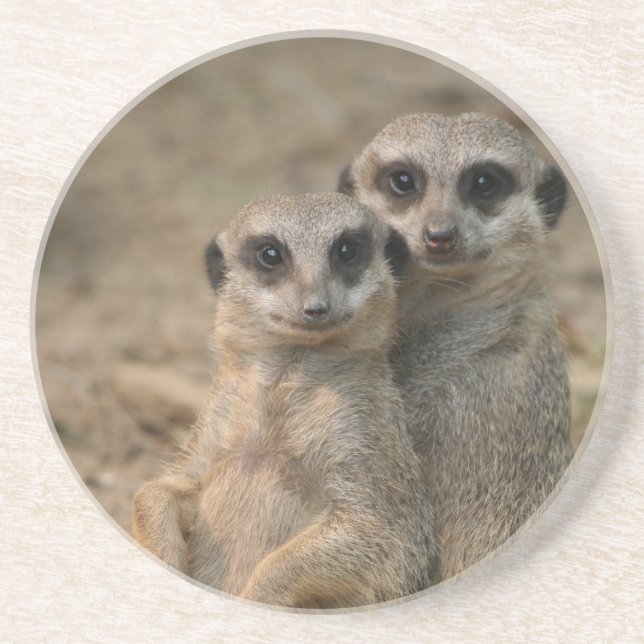 Posavasos Meerkat 067 (Frente)