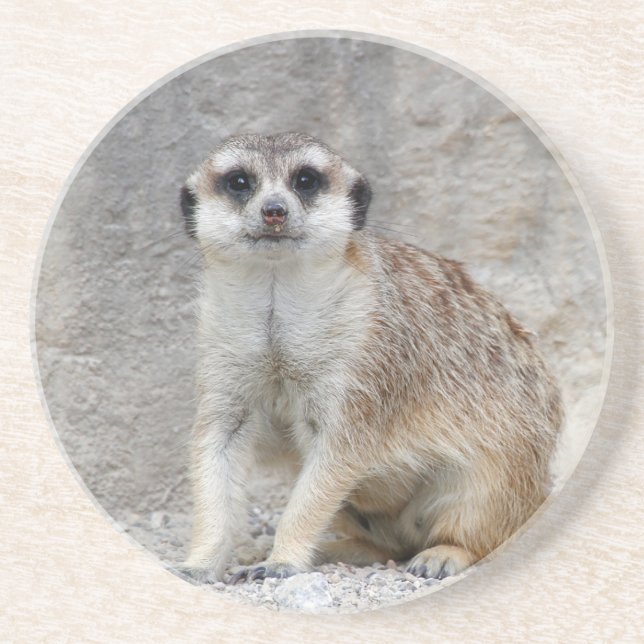 Posavasos Meerkat 134 (Frente)