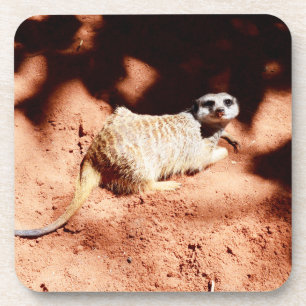 Posavasos Meerkat Cavando En Suciedad,
