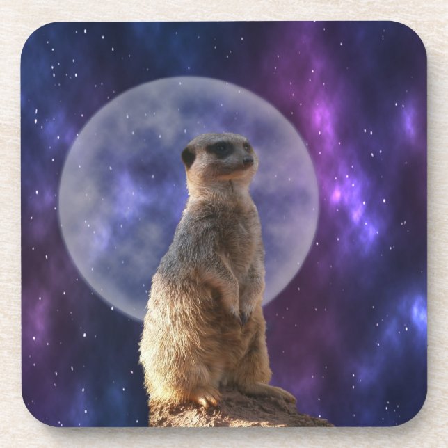 Posavasos Meerkat Y Luna Llena, (Frente)