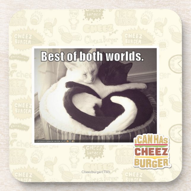 Posavasos Mejor de ambos mundos (Frente)