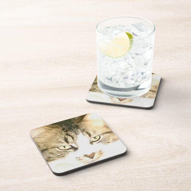 Posavasos Meow Cats 14 Coaster Set (Lado Derecho)