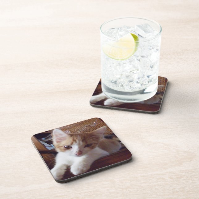 Posavasos Meow Cats 22 Coaster Set (Lado Derecho)