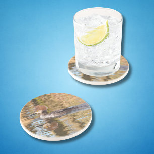 Posavasos Merganser Pato Nade en Agua Tranquila