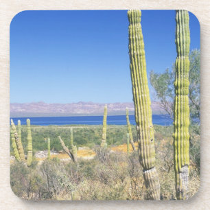 Posavasos México, Baja California Sur, Mulege, Bahía