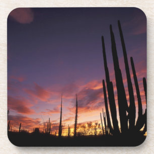 Posavasos México, Baja del Norte, Catavina Desierto Nacional