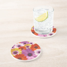 Posavasos Mezcla Colorida de Flores de Margaritas Africanas