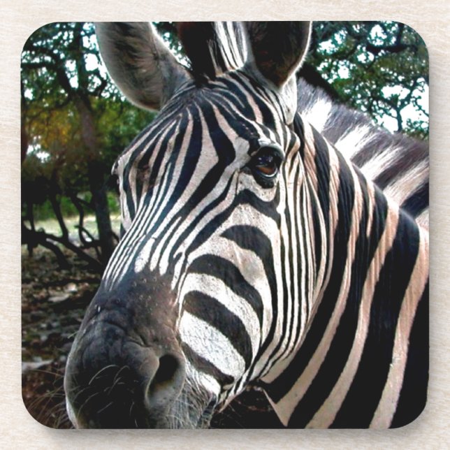 Posavasos Mi amigo strippy (Frente)