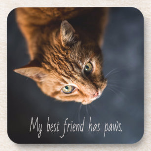 Posavasos Mi mejor amigo tiene patas, Cat Kitten Cute