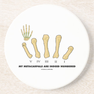 Posavasos Mi Metacarpals se numera de hecho (la anatomía)
