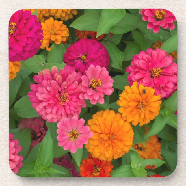 Posavasos Michigan, Dearborn, Greenfield Village.Detalle (Frente)