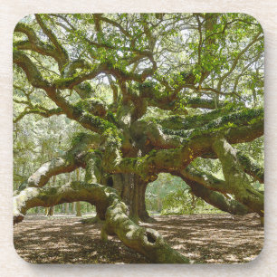 Posavasos Mighty Angel Oak