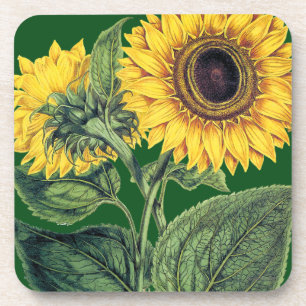 Posavasos Miller: Girasol