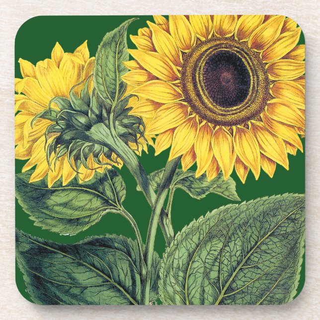 Posavasos Miller: Girasol (Frente)