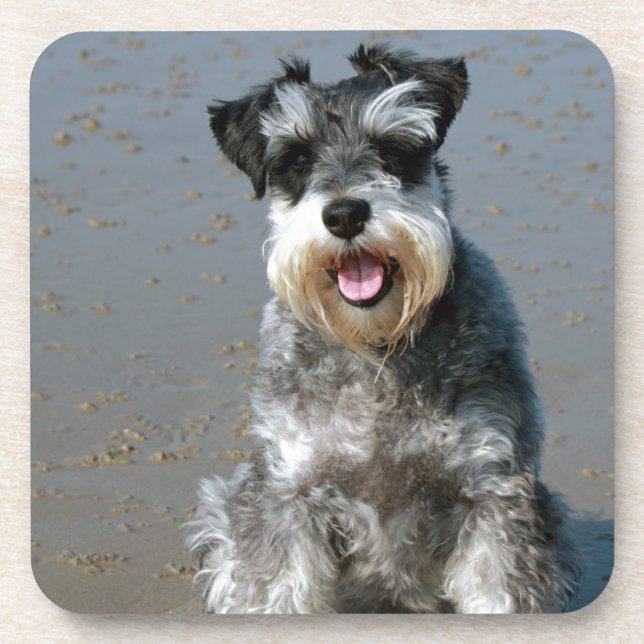 Posavasos mini schnauzer-en el beach.png (Frente)