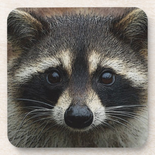 Posavasos Mirada fija adorable de la mascarilla del mapache
