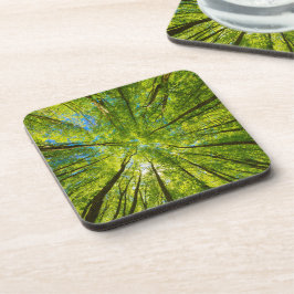 Posavasos Mirando a través de hojas de árboles verdes