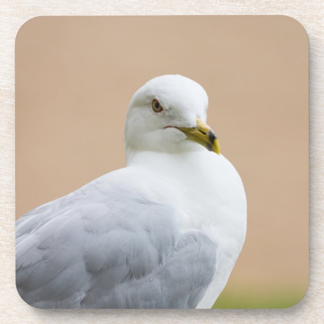 Posavasos Mirando hacia afuera (Frente)