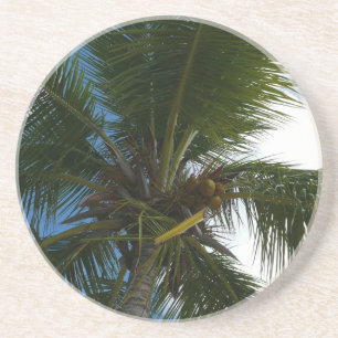 Posavasos Mirando hacia la naturaleza tropical de las palmer