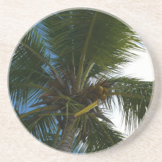 Posavasos Mirando hacia la naturaleza tropical de las palmer