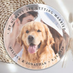Posavasos Mis Seres Humanos Se Están Casando Con La Foto De<br><div class="desc">Celebre su compromiso y dé una boda única para perros, salve las fechas con esta foto personalizado, y la boda personalizada "Mis seres humanos se están casando", salvo la montaña rusa de la cita. Personalizar con tus fotos, nombres y fecha favoritos. Esta montaña rusa de bodas de fotos personalizados es...</div>