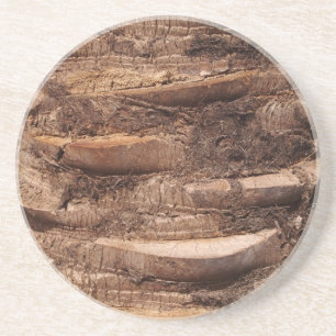 Posavasos Misc. Serie de árbol: anilla troncal de árbol de p