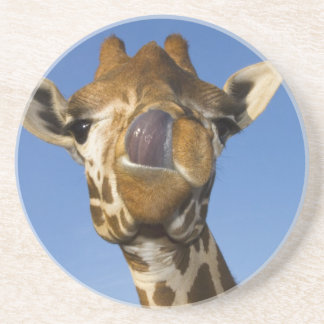 Posavasos Mmmm Mmmmm bueno