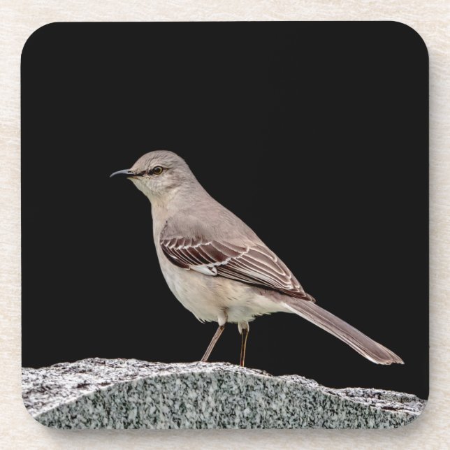 Posavasos Mockingbird en una lápida (Frente)