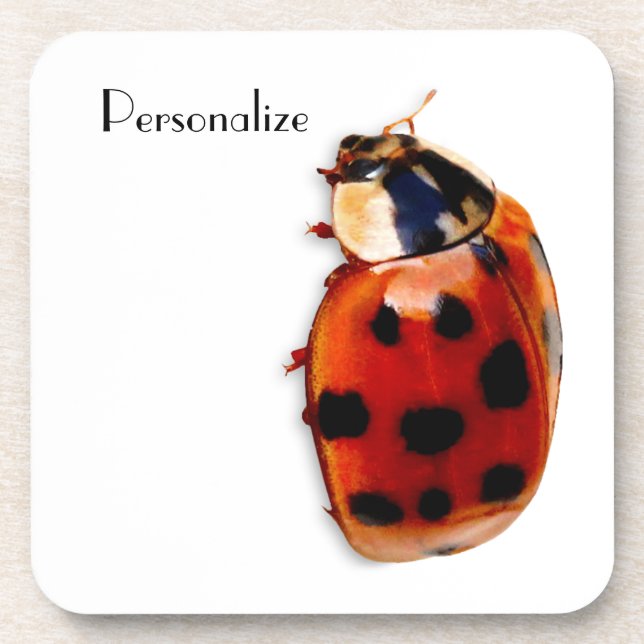 Posavasos Moda Pared Ladybug con nombre (Frente)