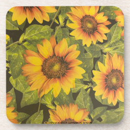 POSAVASOS MOJISOLA ADEOLA GBADAMOSI