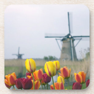 Posavasos Molinos de viento y tulipanes a lo largo del canal