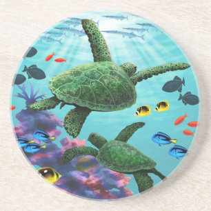Posavasos Molokini Cove Tropical De Tortugas De Mar De Hawái