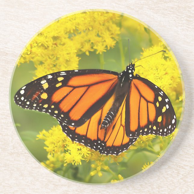 Posavasos Monarca en Goldenrod (Frente)